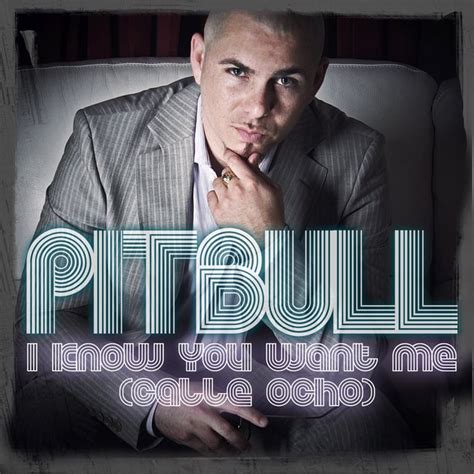 i know you want me|Pitbull – I Know You Want Me (Calle Ocho) Lyrics.